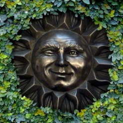 Creeping Fig (Ficus Pumila) - 5 Pack Of Quart Pots -Outlet Aegis Garden Store ficus pumila green creeping fig 110 1