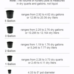 Pinball Wizard Dianthus - 1 Gallon Pot -Outlet Aegis Garden Store pot size chart 2022 452
