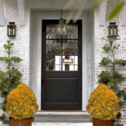 Fire Chief Arborvitae - 2 Gallon Pot -Outlet Aegis Garden Store thuja fire chief arborvitae 104 1