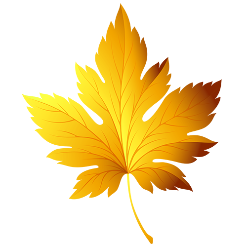 Outlet Aegis Garden Store